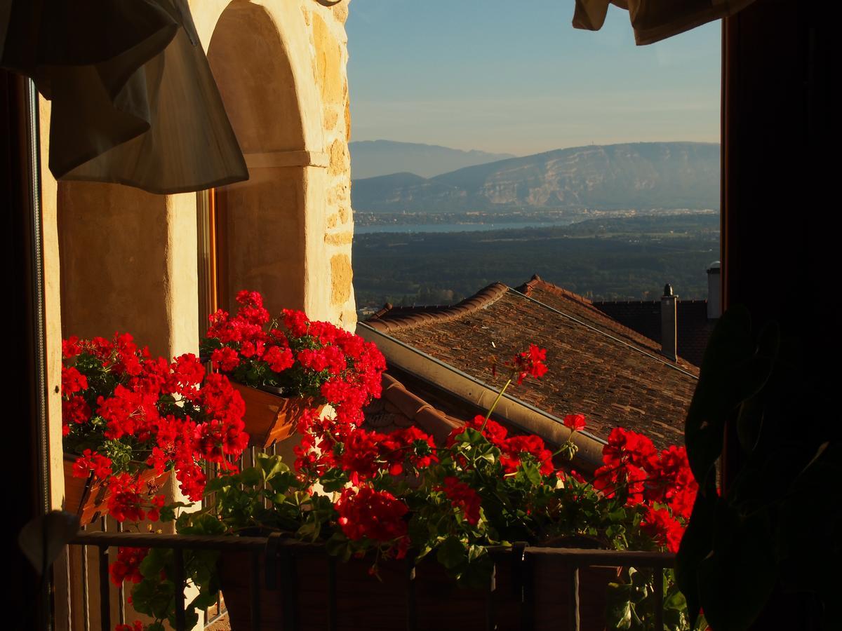 Bed and Breakfast Les Lumieres De Geneve Grilly Екстер'єр фото
