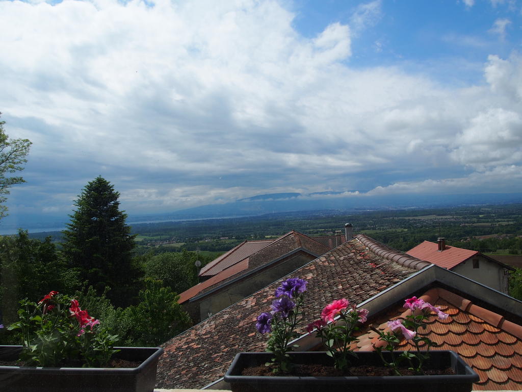Bed and Breakfast Les Lumieres De Geneve Grilly Екстер'єр фото