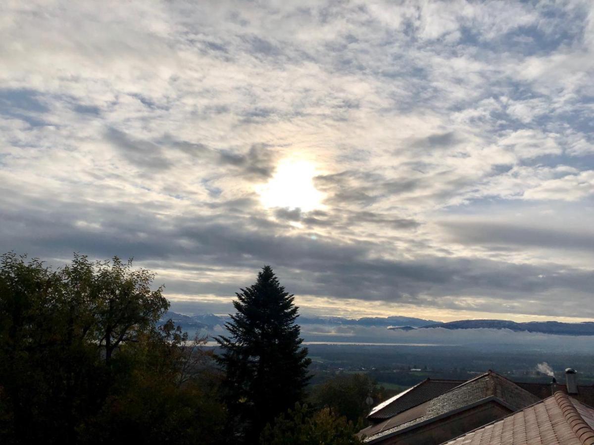 Bed and Breakfast Les Lumieres De Geneve Grilly Екстер'єр фото